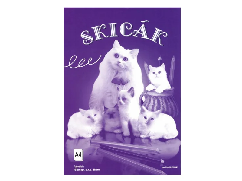 Ilustrační obrázek 1