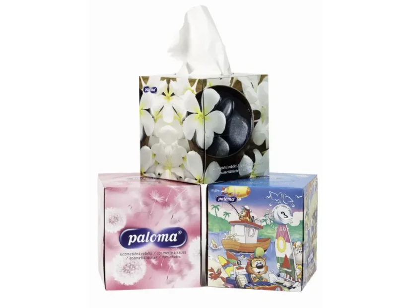 Ilustrační obrázek č.1